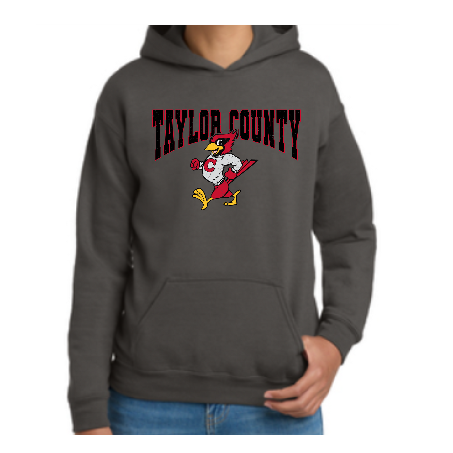 Vintage Taylor County Hoodie-Gildan