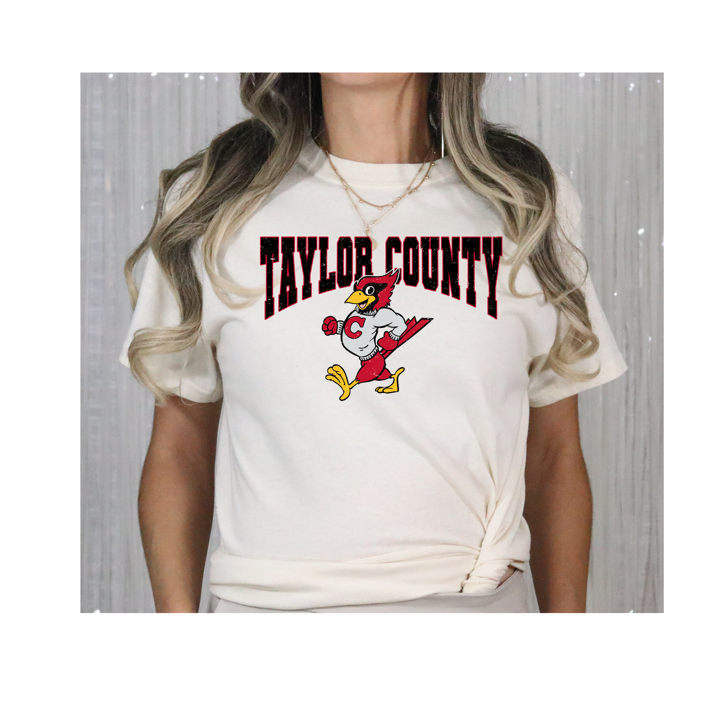 Vintage Taylor County Tee-Gildan