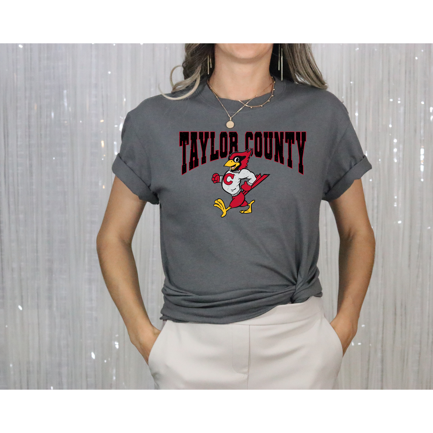Vintage Taylor County Tee-Gildan