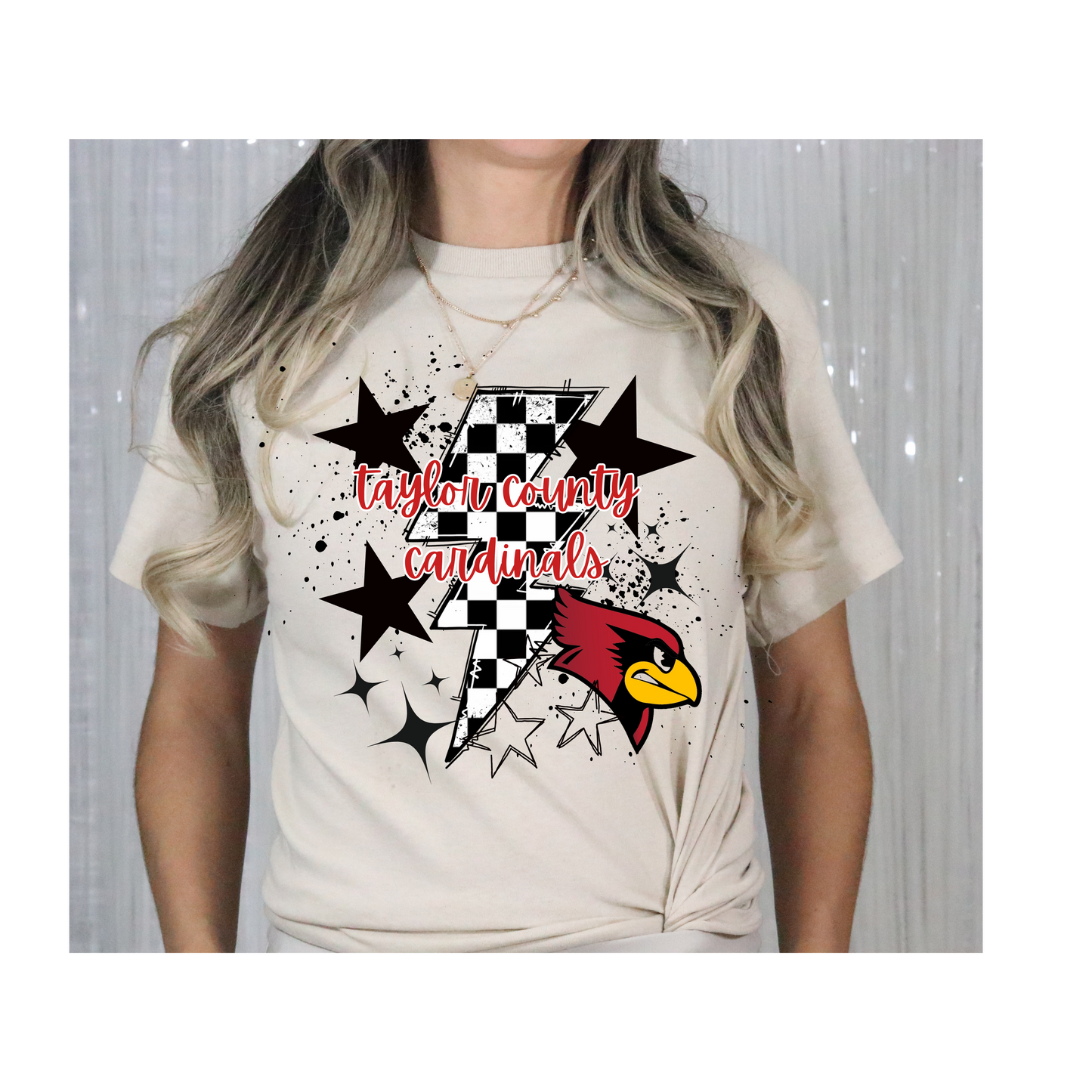 Retro Taylor County Tee-Gildan