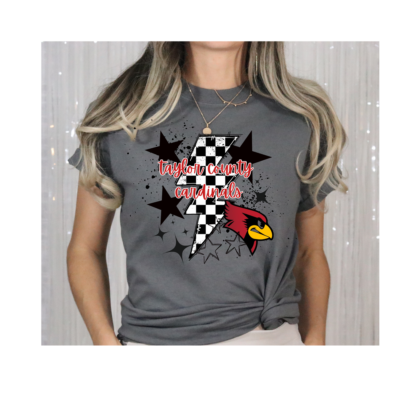 Retro Taylor County Tee-Gildan