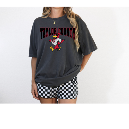Vintage Taylor County  Tee -Comfort Colors