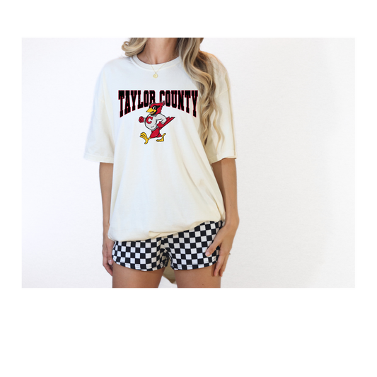 Vintage Taylor County  Tee -Comfort Colors