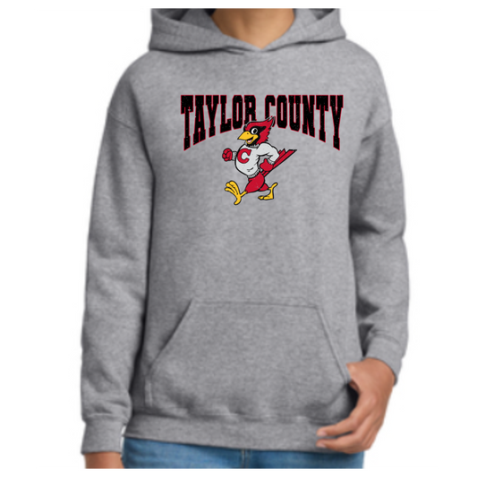Vintage Taylor County Hoodie-Gildan