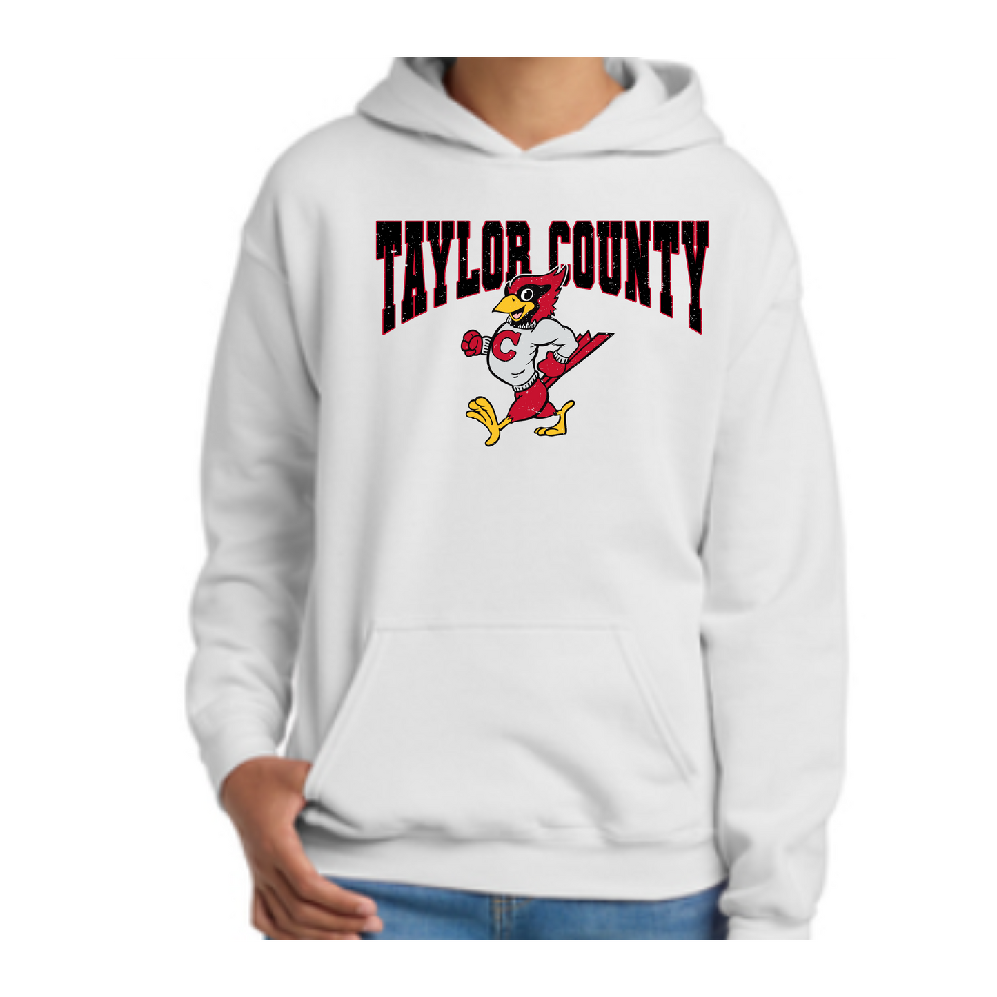 Vintage Taylor County Hoodie-Gildan