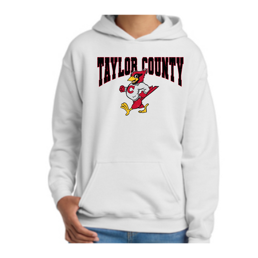 Vintage Taylor County Hoodie-Gildan