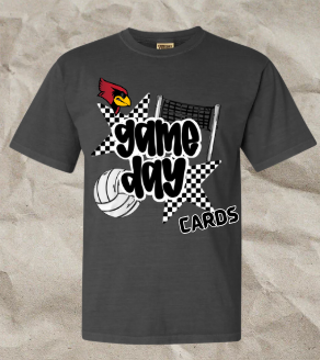 Retro Game Day Volleyball Cardinal Tee- Gildan