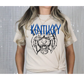 Wildcats Rock Inspired Design- Gildan Tee