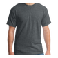 "Truth" Gildan T Shirt and Hoodie