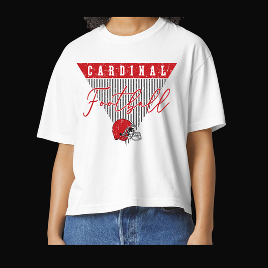 Cardinal Football Pennant