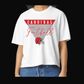 Cardinal Football Pennant
