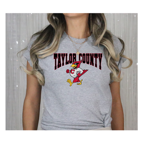 Vintage Taylor County Tee-Gildan