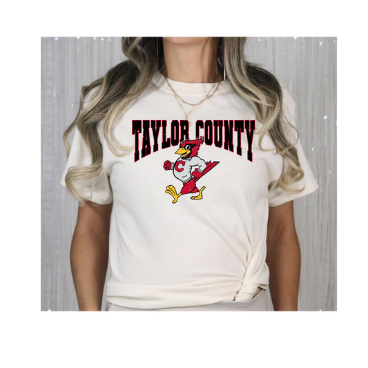 Vintage Taylor County Tee-Gildan