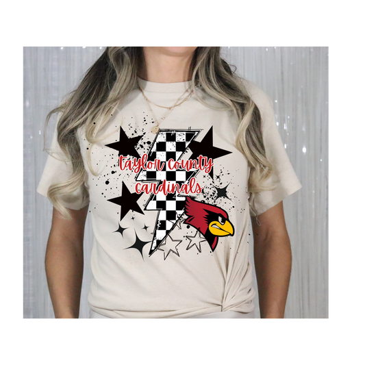 Retro Taylor County Tee-Gildan