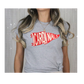 Cardinals Pennant Tee-Gildan
